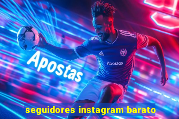 seguidores instagram barato